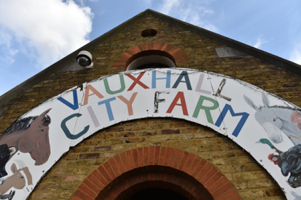Vauxhall City Farm Champions